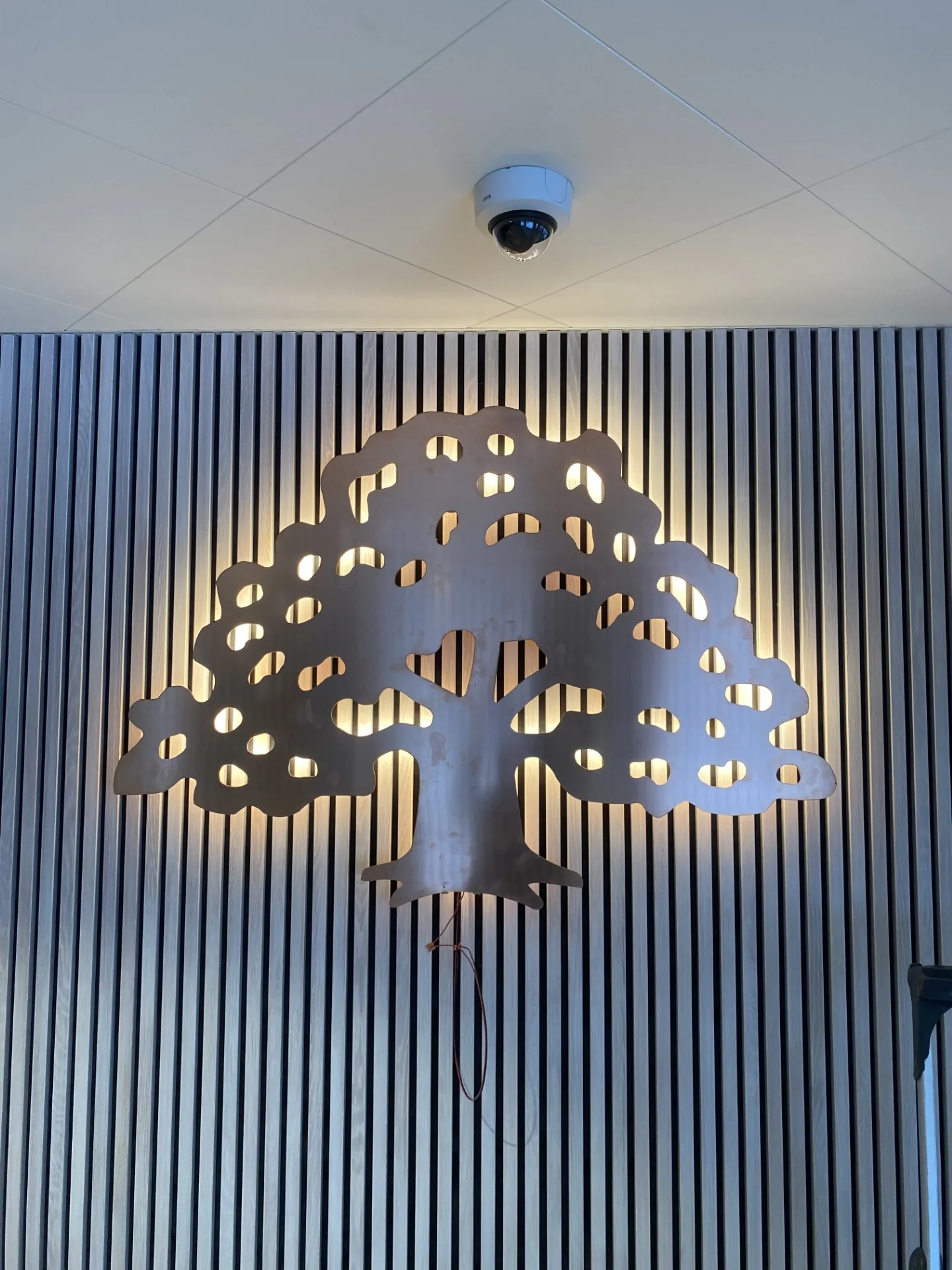 Tidaholms Sparbank, ekdetalj